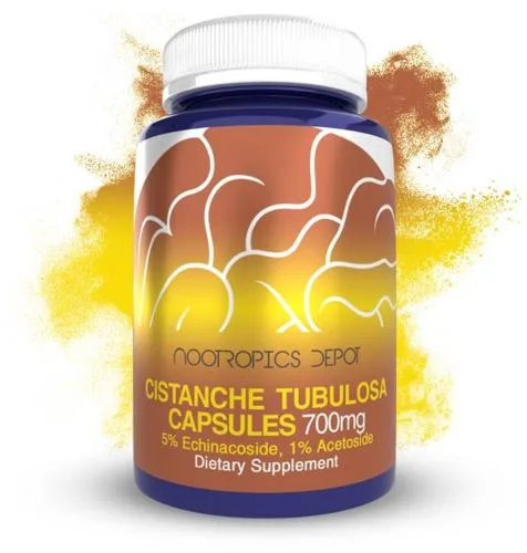 Nootropics Depot Cistanche Capsules 700 mg