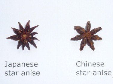 Japanese Vs Chinese Star Anise