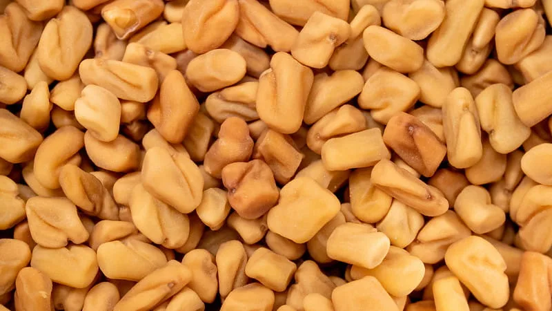 Fenugreek Seeds
