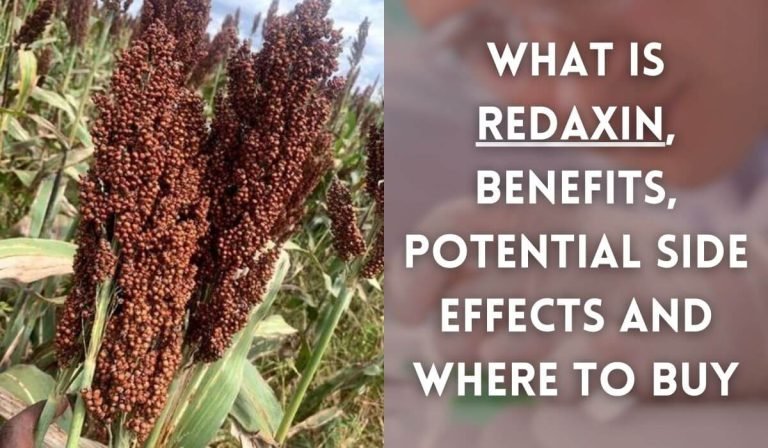 Featured image of What is Redaxin article