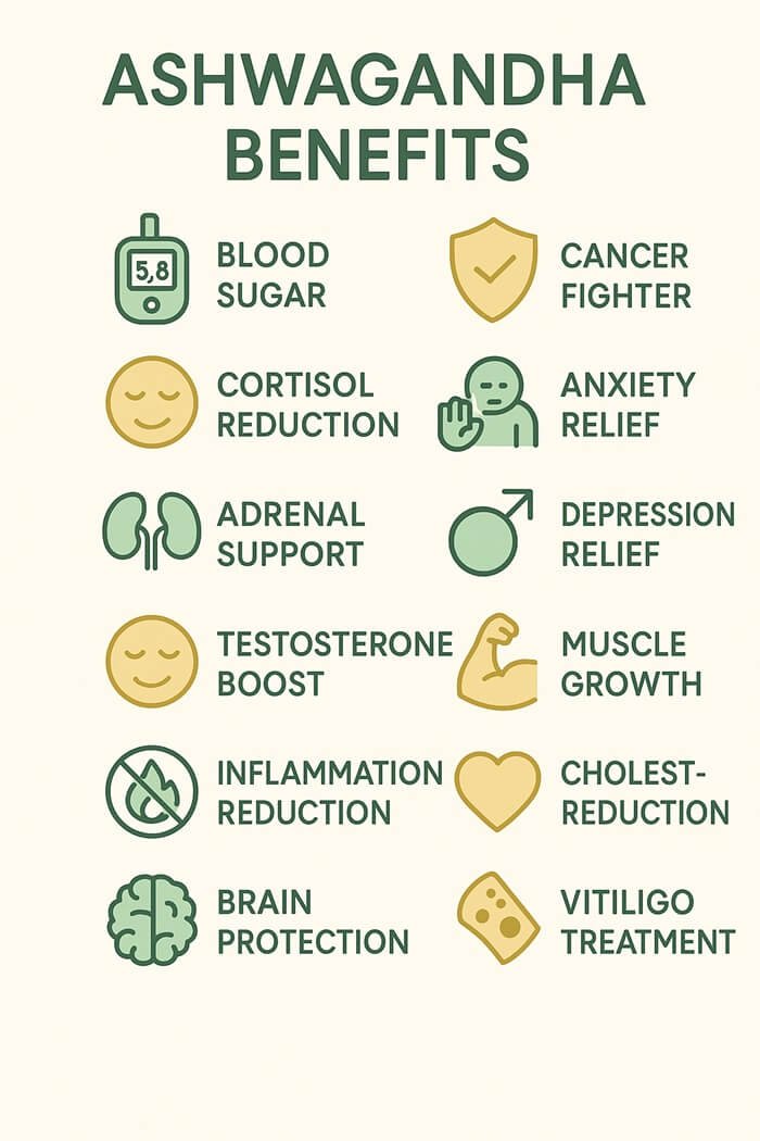 Infographic showing the benefits of ashwagandha plant