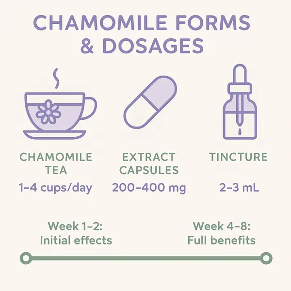 Chamomile dosage infographic showing tea, capsule, and tincture recommendations with timeline