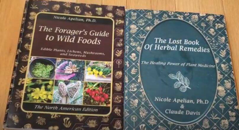 Nicole Apelian's books The Forager's Guide to Wild Foods and the Lost Book of Herbal Remedies side by side.
