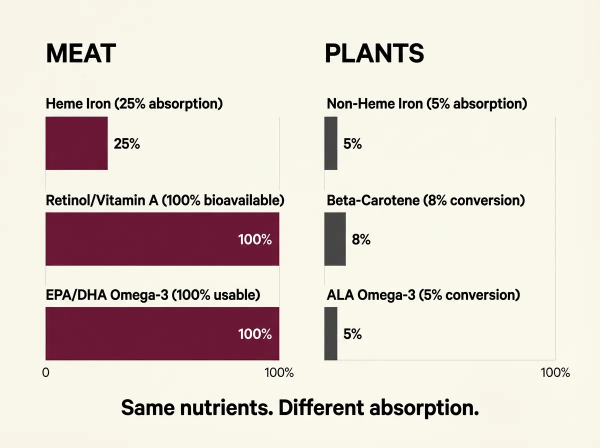 Nutrient bioavailability comparison chart showing meat versus plant absorption rates for iron, vitamin A, and omega-3 fatty acids