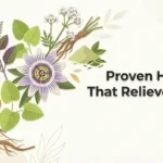 Featured image of proven herbs that relieve stress