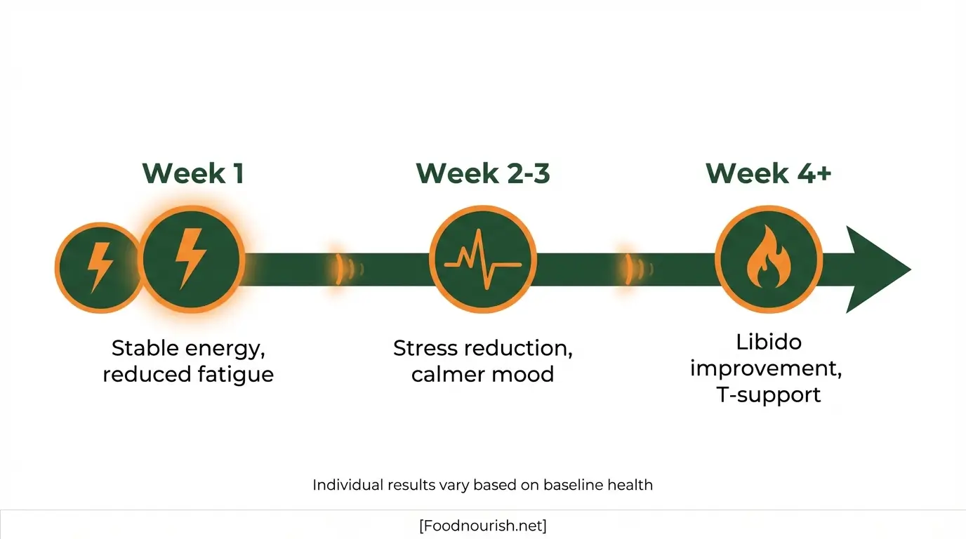 Man Greens results timeline showing energy benefits at week 1, stress reduction at week 2-3, and libido improvement at week 4