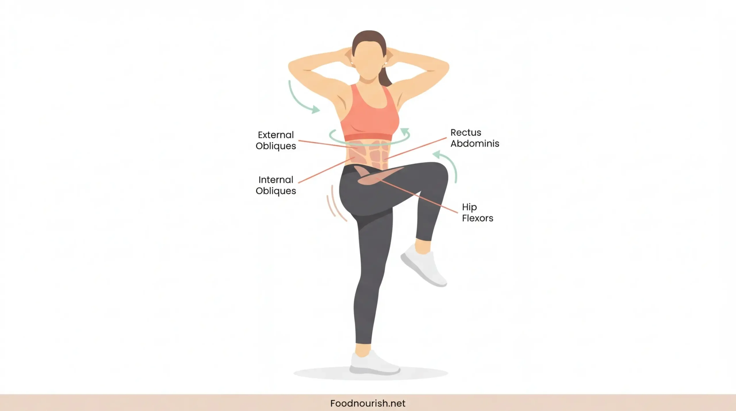 Woman performing a standing bicycle crunch with right elbow rotating toward raised left knee, with rectus abdominis, obliques, and hip flexors highlighted