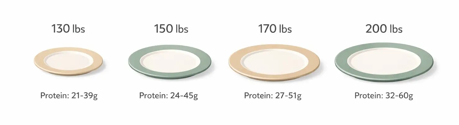  Infographic showing daily protein targets per meal for four body weight categories from 130 to 200 pounds