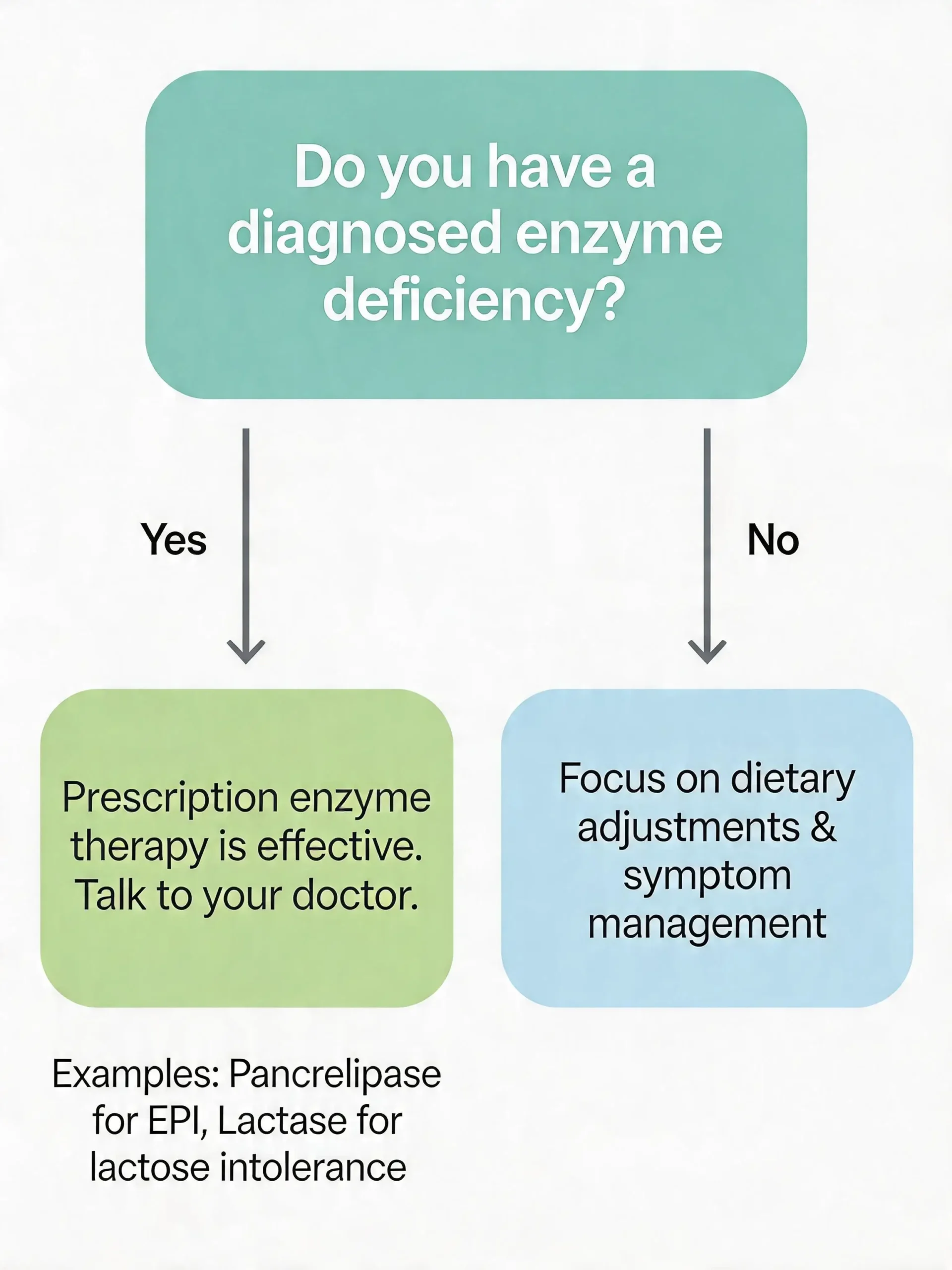 Simple decision flowchart helping readers determine whether they need enzyme supplements based on their health condition