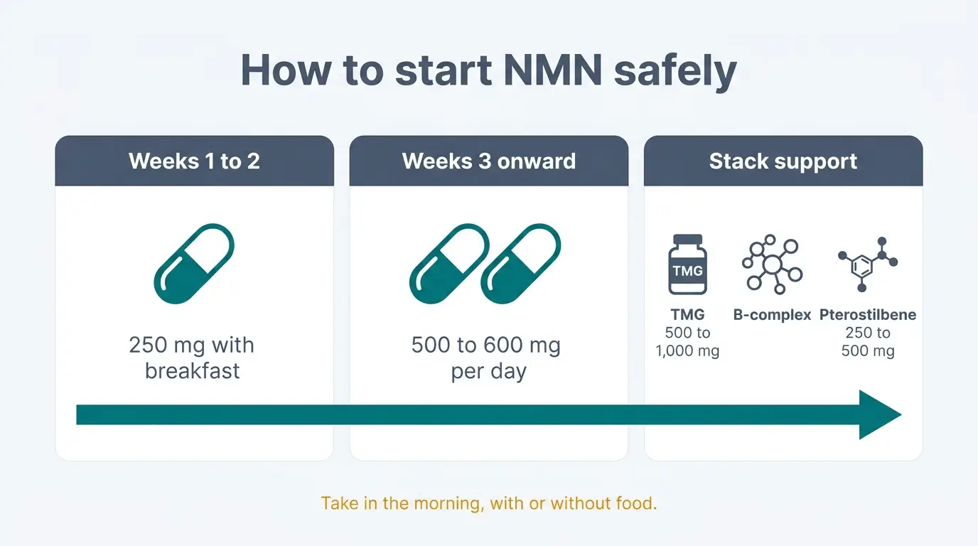 NMN dosing schedule showing 250 mg starter dose for weeks 1 to 2 then 500 to 600 mg daily plus TMG and B-complex stack