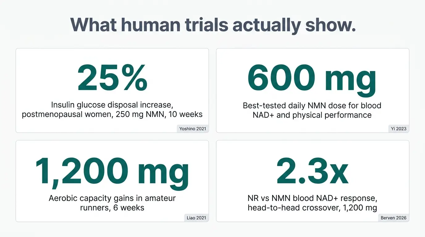Four stat cards summarizing key NMN and NR clinical trial results including 25 percent insulin sensitivity gain and 600 mg optimal dose