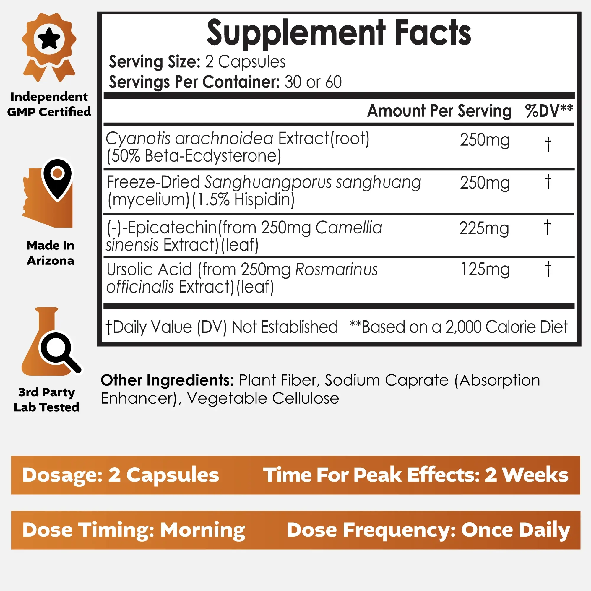 Epicomp Supplement Facts panel listing 225mg epicatechin, 125mg beta-ecdysterone, 125mg ursolic acid, and 250mg Sanghuangporus sanghuang mycelium