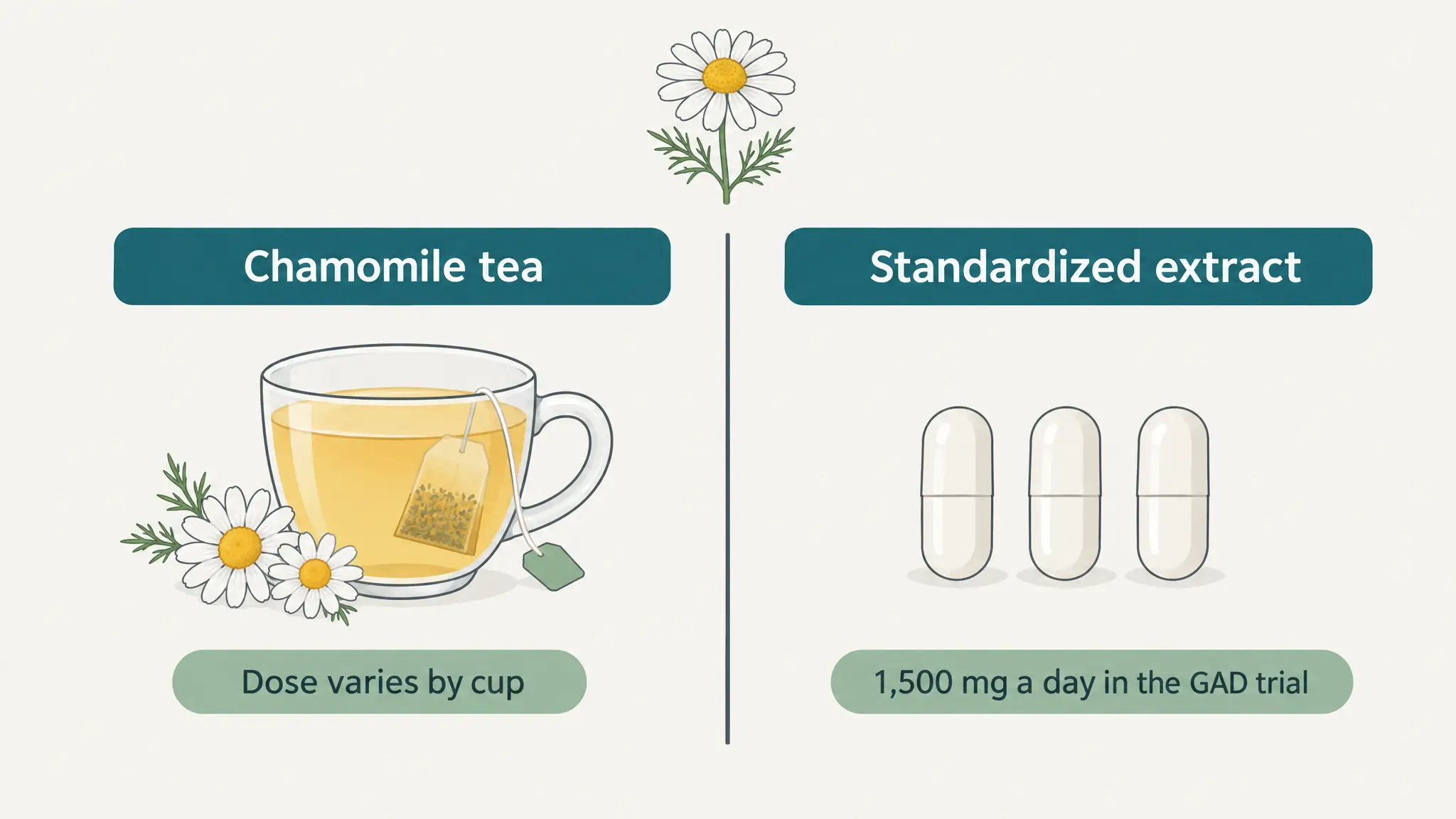 Side-by-side comparison of chamomile tea, whose dose varies, and standardized chamomile extract capsules at the 1,500 mg daily dose used in the anxiety trial.