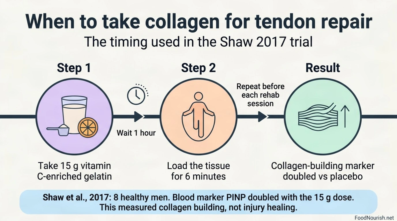 Timeline showing 15 g of vitamin C-enriched gelatin taken 1 hour before a 6 minute exercise session